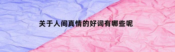 关于人间真情的好词有哪些呢