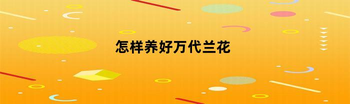 怎样养好万代兰花