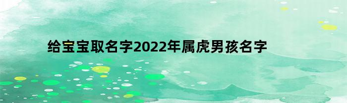 给宝宝取名字2022年属虎男孩名字