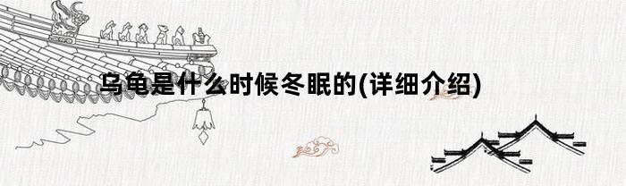 乌龟是什么时候冬眠的(详细介绍)