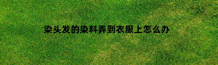 染头发的染料弄到衣服上怎么办