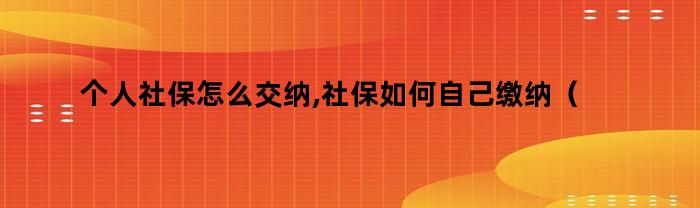 个人社保怎么交纳,社保如何自己缴纳（自己怎么缴纳社保个人怎么交社保）