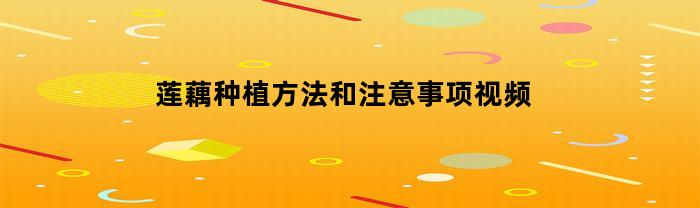 莲藕种植方法和注意事项视频