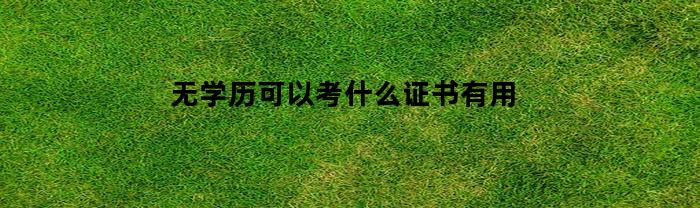 无学历可以考什么证书有用