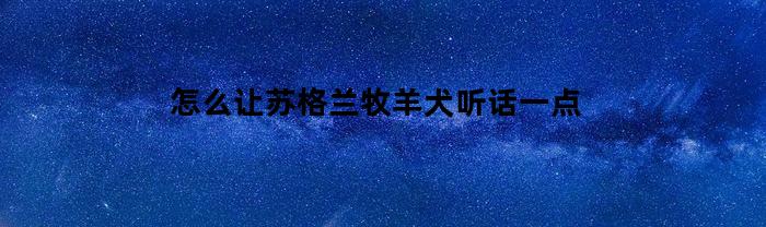 怎么让苏格兰牧羊犬听话一点