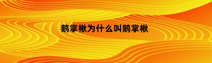 鹅掌楸为什么叫鹅掌楸