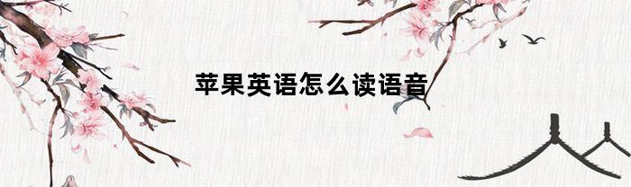 苹果英语怎么读语音