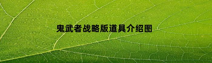 鬼武者战略版道具介绍图