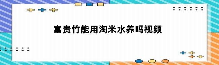 富贵竹：淘米水养法解析