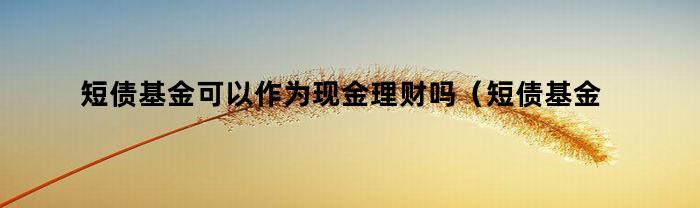 短债基金可以作为现金理财吗（短债基金可以作为现金理财吗为什么）