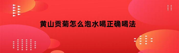 黄山贡菊怎么泡水喝正确喝法