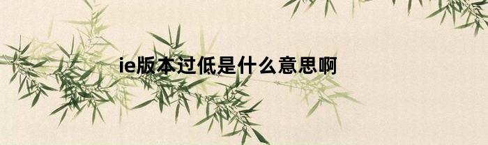 ie版本过低是什么意思啊