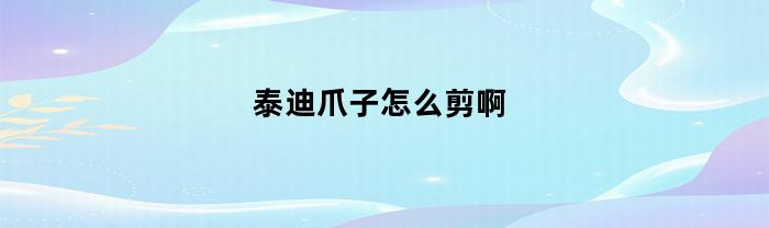 泰迪爪子怎么剪啊