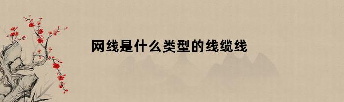 网线是什么类型的线缆线