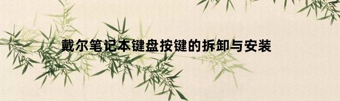 戴尔笔记本键盘按键的拆卸与安装