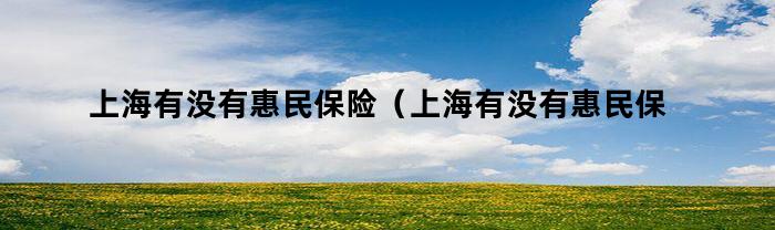 上海有没有惠民保险（上海有没有惠民保险公司）