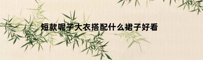 短款呢子大衣搭配什么裙子好看