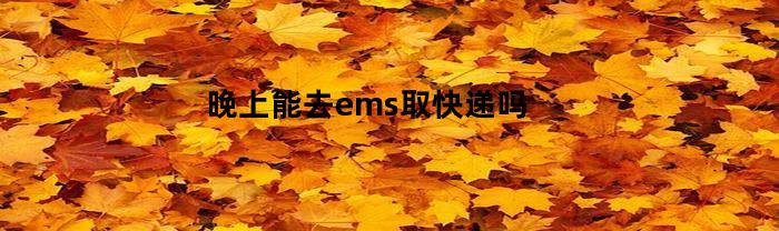 晚上能去ems取快递吗