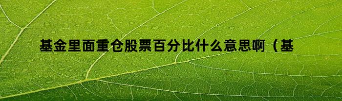 基金里面重仓股票百分比什么意思啊（基金里面重仓股票百分比什么意思呀）