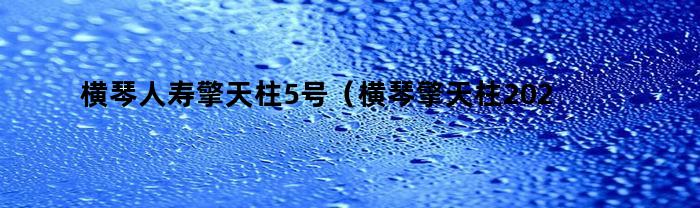 横琴人寿擎天柱5号（横琴擎天柱2020在哪买）