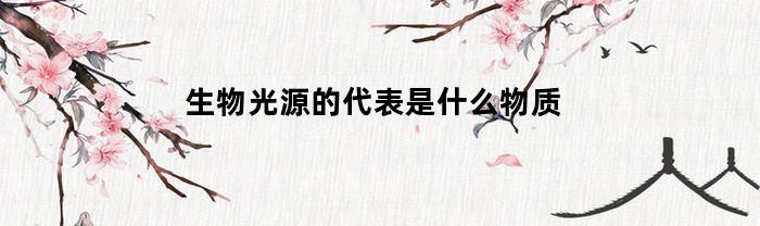 生物光源的代表是什么物质