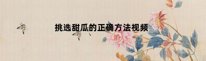 挑选甜瓜的正确方法视频