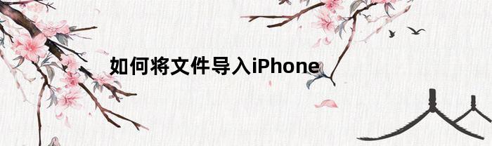 如何将文件导入iPhone