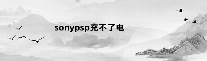 sonypsp充不了电