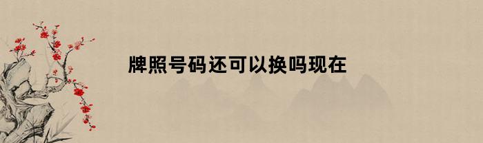 牌照号码还可以换吗现在