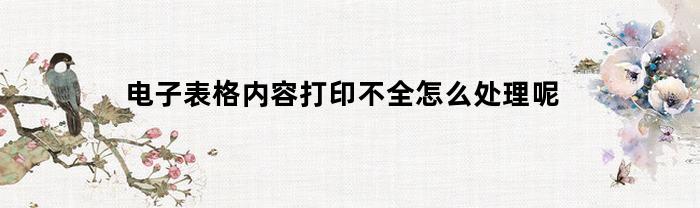 电子表格内容打印不全怎么处理呢