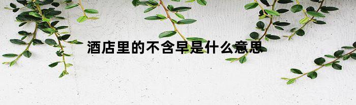 酒店里的不含早是什么意思