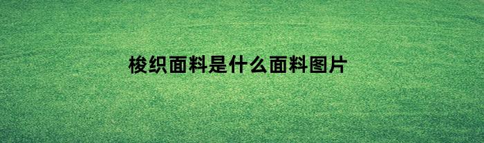 梭织面料是什么面料图片