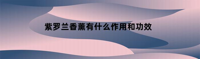 紫罗兰香薰有什么作用和功效