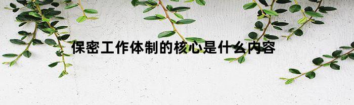 保密工作体制的核心是什么内容