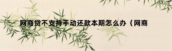 网商贷不支持手动还款本期怎么办（网商贷不支持手动还款本期还款吗）