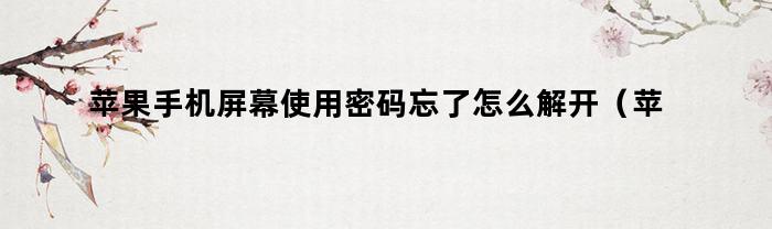 苹果手机屏幕使用密码忘了怎么解开(苹果手机屏幕忘记密码怎么打开)