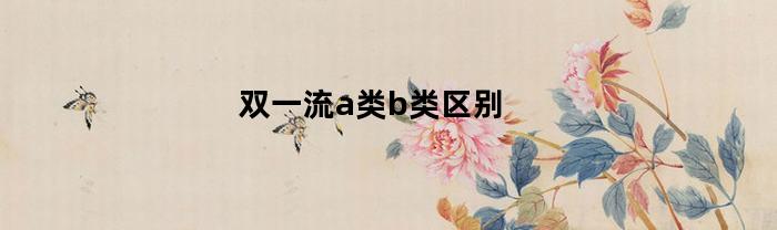 双一流a类b类区别