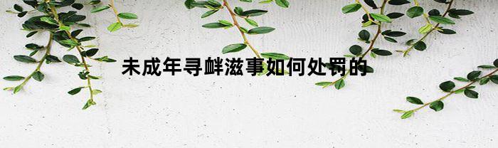 未成年寻衅滋事如何处罚的