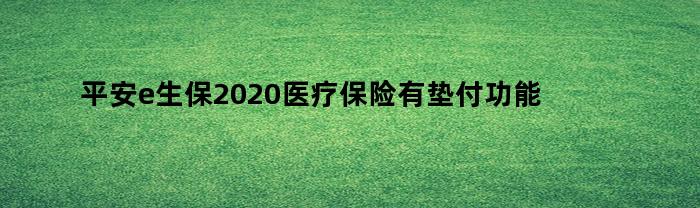 平安e生保2020医疗保险有垫付功能吗（平安e生保可以垫付住院费用吗）