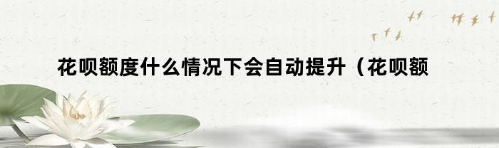 花呗额度什么情况下会自动提升(花呗额度什么情况下会自动提升额度)