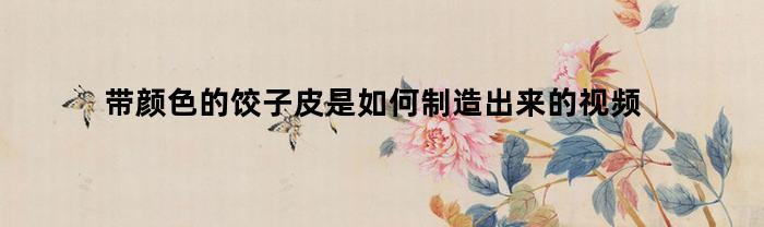 带颜色的饺子皮是如何制造出来的视频