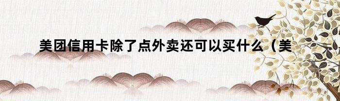 美团信用卡除了点外卖还可以买什么（美团信用卡除了点外卖还可以干什么）