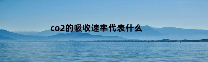 co2的吸收速率代表什么