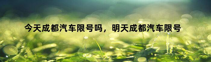 今天成都汽车限号吗，明天成都汽车限号吗