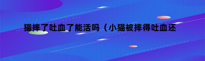 猫摔了吐血了能活吗（小猫被摔得吐血还有救吗）