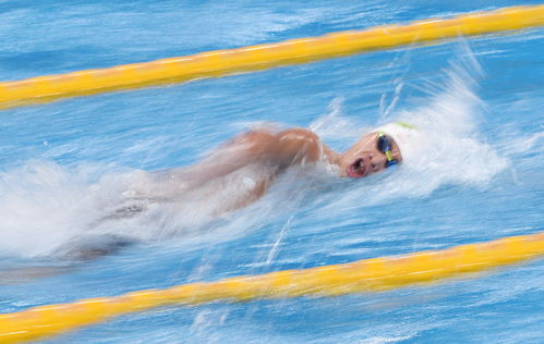 游泳比赛中自由泳的呼吸方法正确操作是什么？