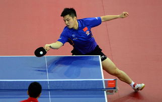 乒乓球亚洲杯之后，还有哪些重要比赛？了解乒乓球的主要赛事