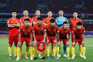中国男足球员欧元身价排名：揭秘中国足球联赛中最高身价球员