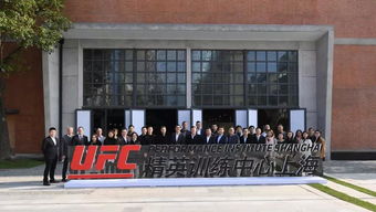 UFC上海精英训练营是否正在招生?