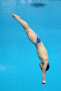 广州家乡的跳水奥运冠军杨景辉，还有哪些体育明星出身？